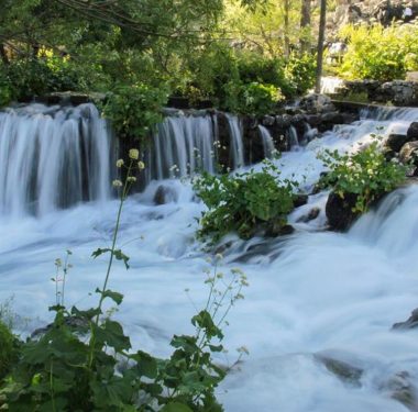 5d1dec5767b0a91e38d3a81a