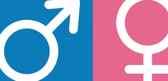 Hollanda Kimliklerdeki Cinsiyet Bilgisini Kaldırıyor