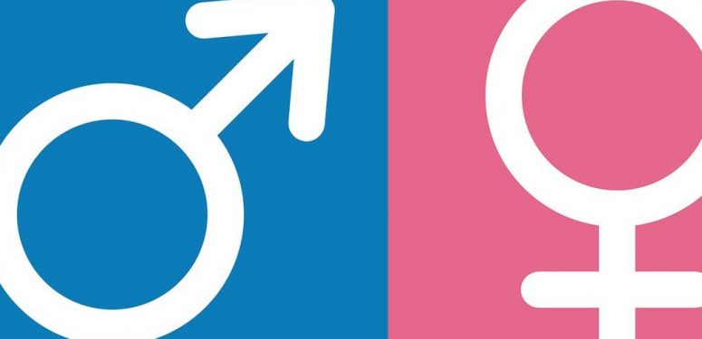 Hollanda Kimliklerdeki Cinsiyet Bilgisini Kaldırıyor 1 ho1_-_Kopya