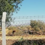 kesimden-sonra1-1536x1152