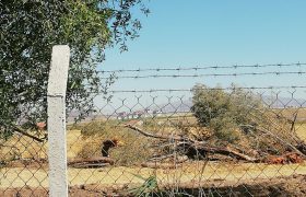 kesimden-sonra1-1536x1152