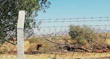 kesimden-sonra1-1536x1152