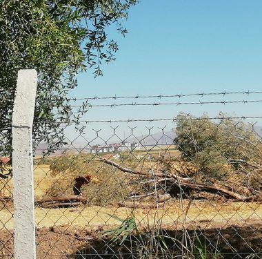 kesimden-sonra1-1536x1152