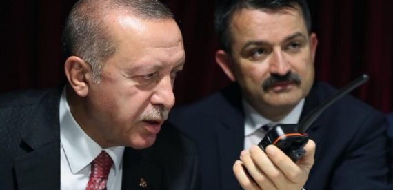 Tarım Bakanı: Fındık Fiyatını Cumhurbaşkanımız Açıklayacak