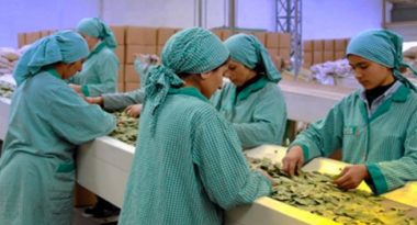 turkiye_de_kadin_emegi_raporu_her_10_kadindan_4_u_kayit_disi_calistiriliyor_h125446_c1c00