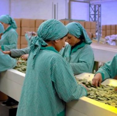 Salgında Kadın İşsizliği %45'e Çıktı 2 turkiye_de_kadin_emegi_raporu_her_10_kadindan_4_u_kayit_disi_calistiriliyor_h125446_c1c00