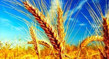 SW7rJPIMqIz8Q1s7N9tPL37fU4RZSQ2olOWTsDXx