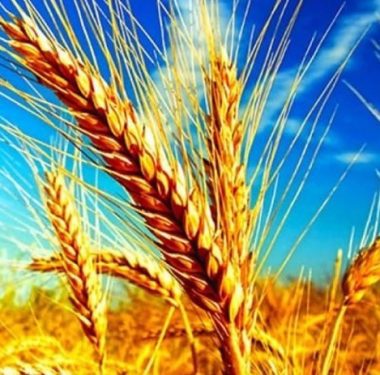 SW7rJPIMqIz8Q1s7N9tPL37fU4RZSQ2olOWTsDXx