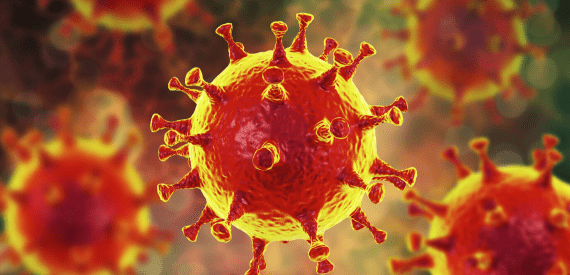 Dünya Genelinde Kovid-19 Vaka Sayısı 23 Milyonu Aştı