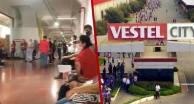 vestel