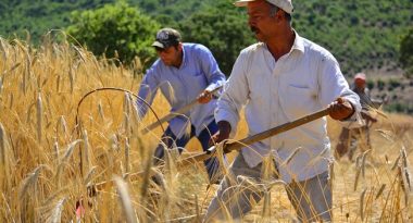 119093863_3399940996693557_7813464704270828416_n