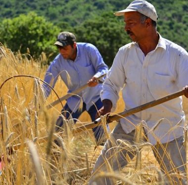 119093863_3399940996693557_7813464704270828416_n