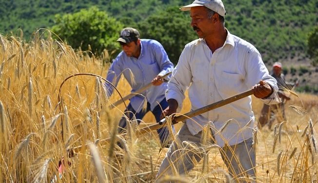 119093863_3399940996693557_7813464704270828416_n