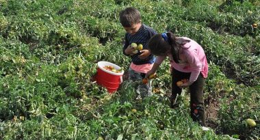 5cbd7b20c03c0e5504b00886