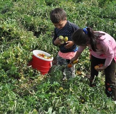 5cbd7b20c03c0e5504b00886