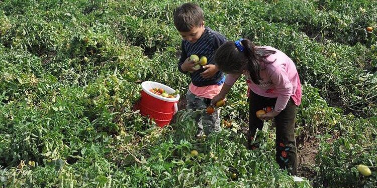 5cbd7b20c03c0e5504b00886