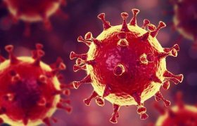 00144234c871b0aad9932db5b15d4e20_640x640