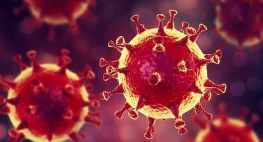 00144234c871b0aad9932db5b15d4e20_640x640