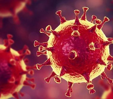 00144234c871b0aad9932db5b15d4e20_640x640