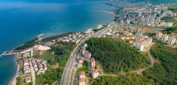 Cumhurbaşkanlığı Kararıyla Fatsa Ormanları Otopark Olacak!