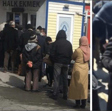 Untitled design (10)