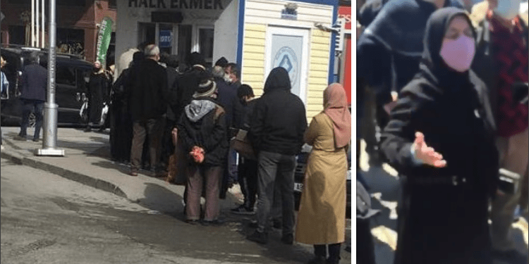 Untitled design (10)