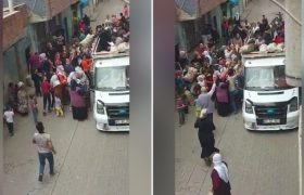 patates-izdiham-aciklama