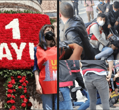 Untitled design (15)