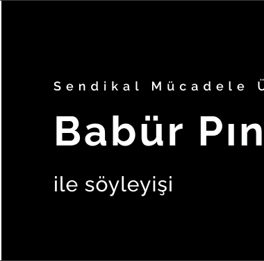 Untitled design (18)