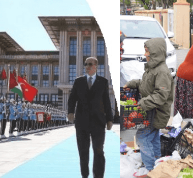 Untitled design (23)