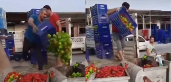 Üreticiler İsyan Etti: Tonlarca Sebzeyi Çöpe Döktüler