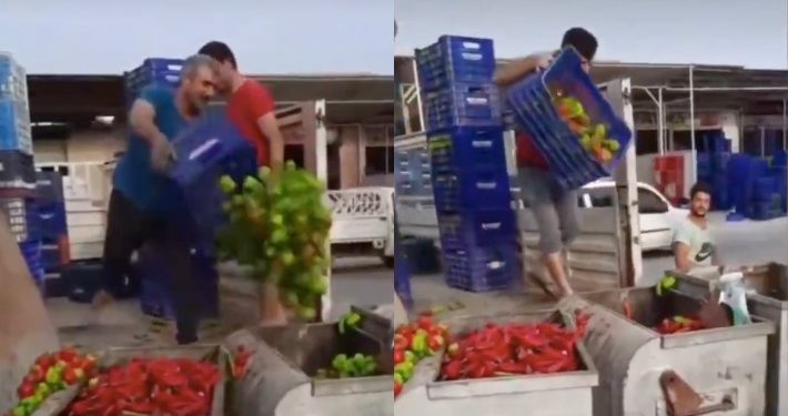 Üreticiler İsyan Etti: Tonlarca Sebzeyi Çöpe Döktüler 6 antalya-ureticiler-cope-doktu