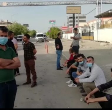 antepteistencikarilanisciler