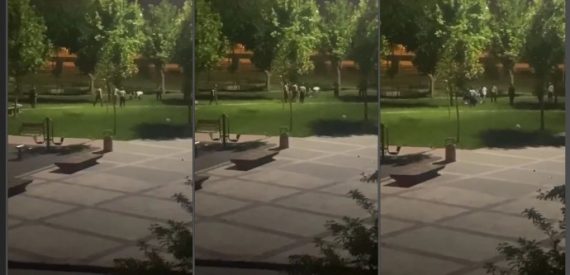 Polis ve Bekçiden 15 Yaşındaki Çocuğa İşkence