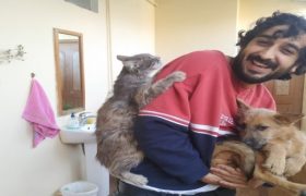 bayram-mammedov-1-660x330