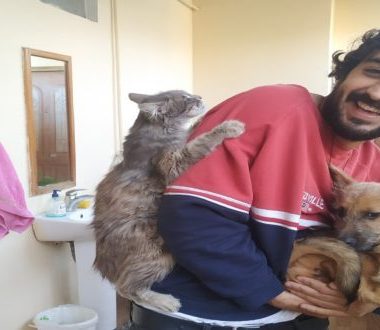 bayram-mammedov-1-660x330