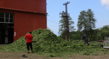 hopa-cay-kooperatifi-cayda-kota2