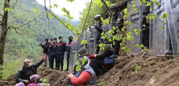 İkizdere’de Taş Ocağı için En Az 32 Bin Ağaç Kesilecek
