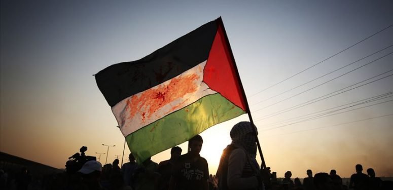 thumbs_b_c_f5979776961879474d22cfb59ab5a4ec