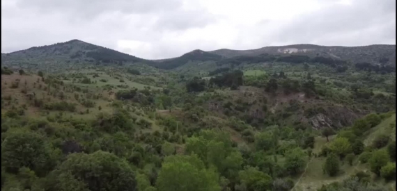 Bilim İnsanları da Ormana ‘İzinle’ Girebilecek: Fotoğraf ve Yayın İzne Bağlı!