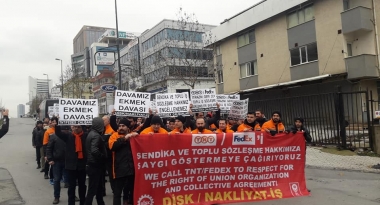 50497950_2069084046519511_6017015569834835968_n