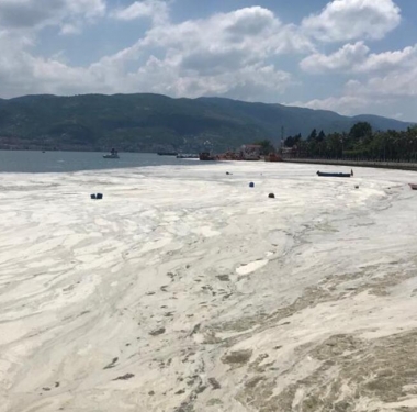 60b5c728d265a226f07f13a8