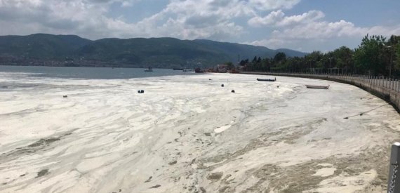 Marmara Denizi Can Çekişiyor: Ölü Deniz Haline Geldi