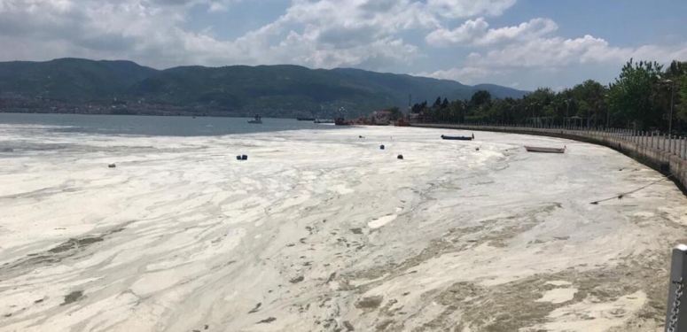 60b5c728d265a226f07f13a8