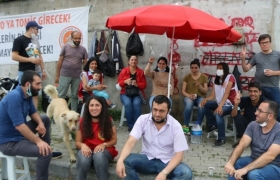 Kadınlar Sokakta: İstanbul Sözleşmesi'ni Uygulayın 1 thumbnail