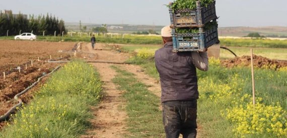 Ekonomik Kriz ve Salgın İstihdamda En Çok Tarımı Vurdu