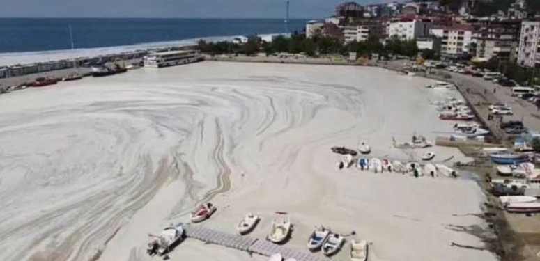 'Marmara Eylem Planı'nın Asıl Hedefi Katar'a Yeni Kazanç Kapısı Aralamak' 1 GdesPhzwJfdRZWISiq1F963qv0QCg7M2l0y0kB69