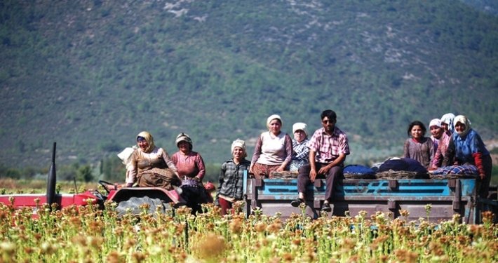 Çiftçi Can Çekişiyor: Gübreye Yüzde 41 Zam, Yem ve Saman Fiyatları Uçtu