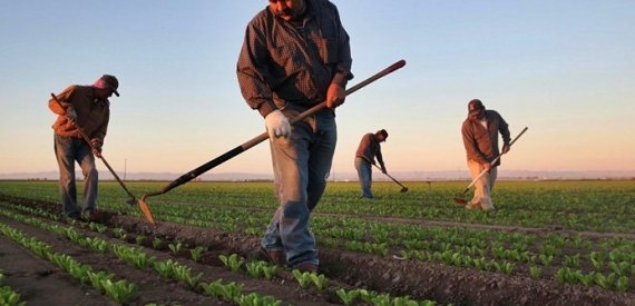 TÜİK Bile Gizleyemedi: Tarımda Üretici Enflasyonu Yüzde 22 Arttı