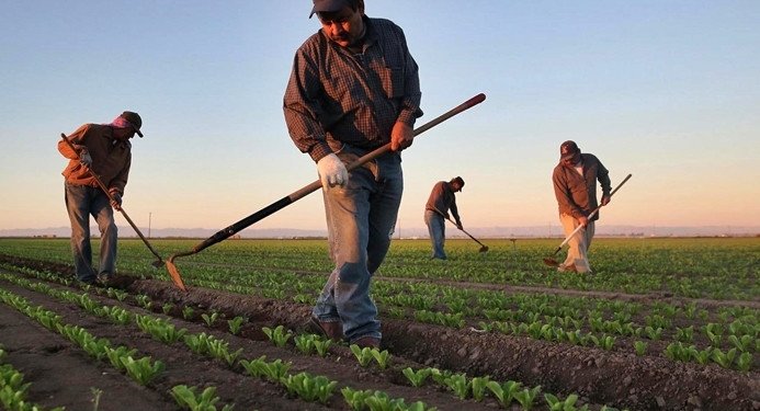 TÜİK Bile Gizleyemedi: Tarımda Üretici Enflasyonu Yüzde 22 Arttı